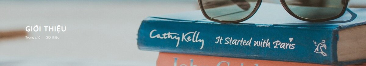 Banner danh mục b&agrave;i viết