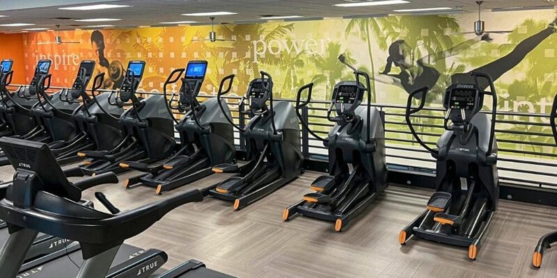 Bột Gym: Giải Ph&aacute;p Tăng Cường Sức Mạnh v&agrave; Phục Hồi Nhanh Ch&oacute;ng