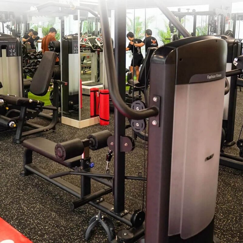 Bột Gym: Giải Ph&aacute;p Tăng Cường Sức Mạnh v&agrave; Phục Hồi Nhanh Ch&oacute;ng