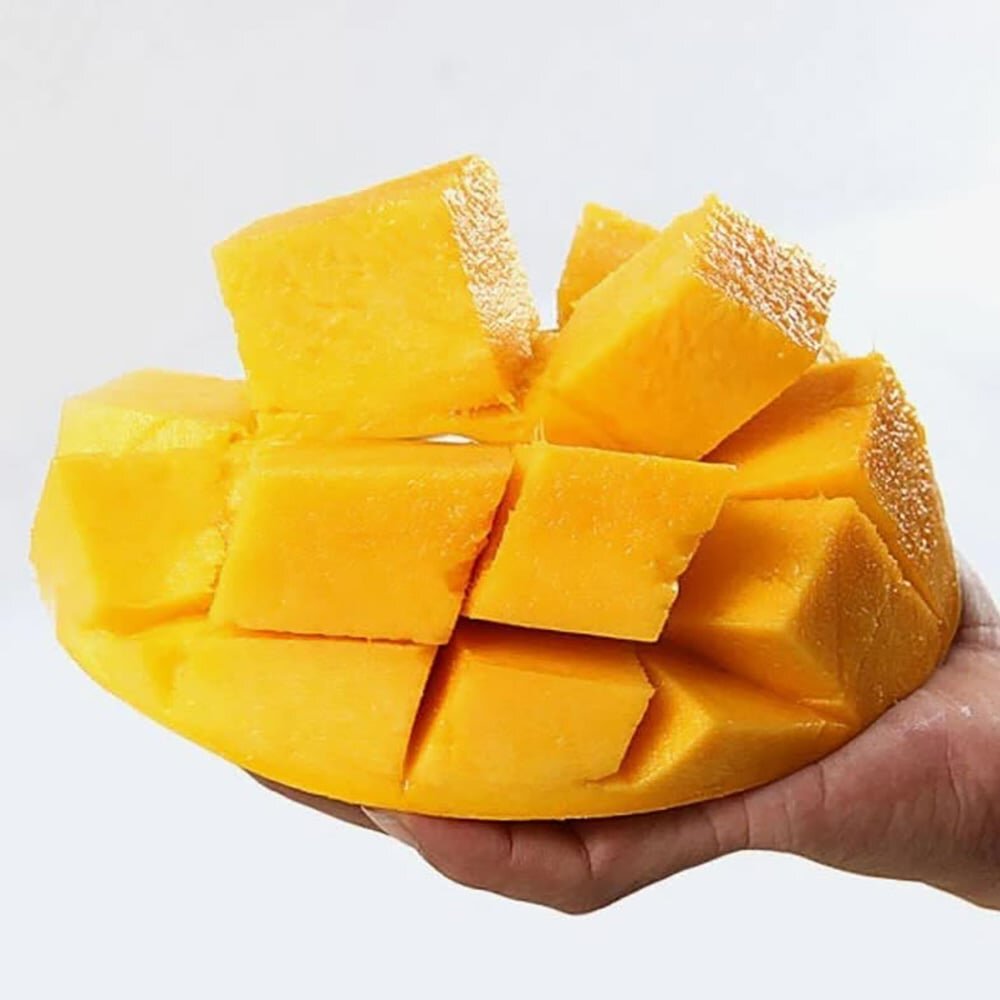 Xo&agrave;i C&aacute;t Ho&agrave;i Lộc 1kg