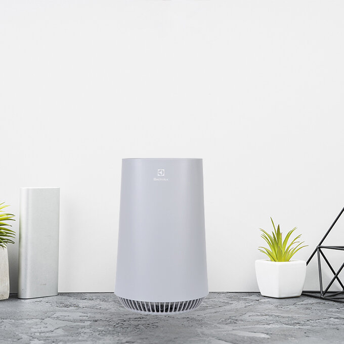 M&aacute;y lọc kh&ocirc;ng kh&iacute; Electrolux FA31-202GY