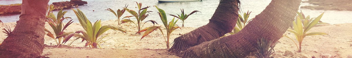 Banner trang nội dung